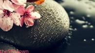 Touch me SPA