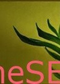 Κάντε ένα δώρο στον εαυτό σας με τα antistress προγράμματα